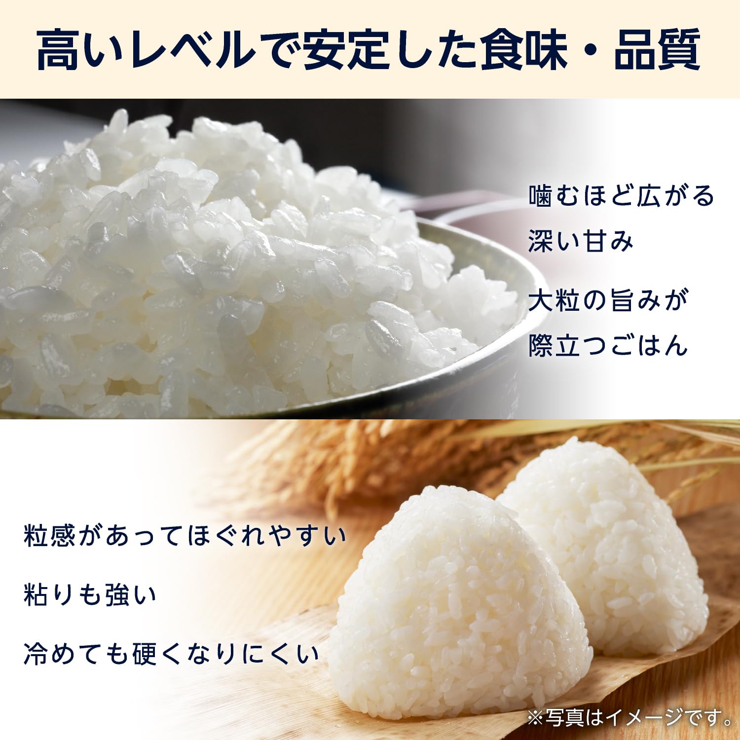 Amazon.co.jp: 
